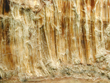 Asbestos Inspections and Registers